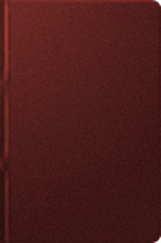 An Exposition of First John 2:12-3:1