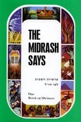 The Midrash Says: The Book of Sh'mos (Volume, #2)