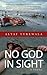 No God In Sight