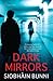 Dark Mirrors