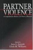 Partner Violence: A Comprehensive Review of 20 Years of Research (Hardcover)