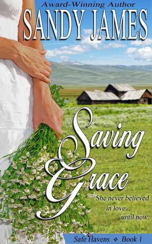 Saving Grace (Safe Havens, #1)