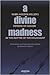 A Divine Madness by Avigdor Miller