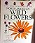 The Encyclopedia of North American Wildflowers