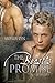 The Beast's Promise (Outside the City #2)