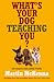 What's Your Dog Teaching You