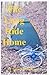 The Long Ride Home by Susan Gregersen