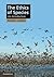 The Ethics of Species: An Introduction (Cambridge Applied Ethics)