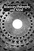 Relativity, Philosophy and Mind: Notebooks (The Notebooks of Paul Brunton, Vol 13)