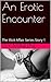 An Erotic Encounter (The Illicit Affair)