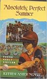 Absolutely Perfect Summer (Shaw Young Adult Fiction)