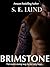 Brimstone (Stained Trilogy, #1)