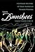 The Banshees: A Literary Hi...