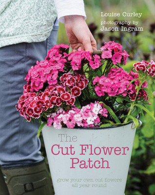 The Cut Flower Patch: Grow your own cut flowers all year round (Hardcover)
