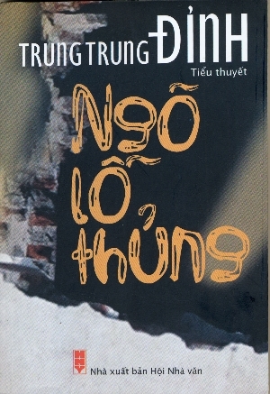 Ngõ lỗ thủng (Paperback)