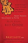 Not Safe, but Good (Vol. 1): Short Stories Sharpened by Faith