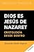 Dios es Jesus de Nazaret / God is Jesus of Nazareth: Cristologia Desde Dentro / Christology from Within (Biblioteca Teologica) (Spanish Edition)