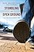 Stumbling on Open Ground by Ken Mansfield