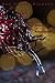 Red Planet Pioneer (Modulus of Resilience)