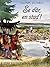 Se där, en stad! (Barnens svenska historia, #2)