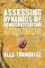 Assessing Dynamics of Democ...