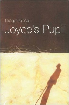 Joyce's Pupil (Paperback)