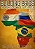 Building BRICs: The new scramble for Africa