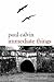 Immediate Things by Paul Calvin