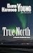 True North (A Weekly Challenge Short Story, 10)