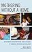 Mothering without a Home: Attachment Representations and Behaviors of Homeless Mothers and Children (The Vulnerable Child: Studies in Social Issues and Child Psychoanalysis)