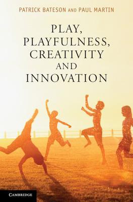 Play, Playfulness, Creativity and Innovation (Kindle Edition)