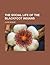 The Social Life of the Blackfoot Indians by Clark Wissler