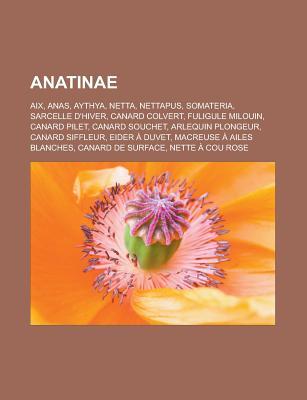 Anatinae: AIX, Anas, Aythya, Netta, Nettapus, Somateria, Sarcelle D'Hiver, Canard Colvert, Fuligule Milouin, Canard Pilet, Canard Souchet, Arlequin Plongeur, Canard Siffleur, Eider a Duvet, Macreuse a Ailes Blanches, Canard de Surface