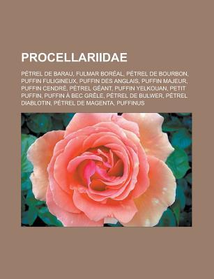 Procellariidae: Petrel de Barau, Fulmar Boreal, Petrel de Bourbon, Puffin Fuligineux, Puffin Des Anglais, Puffin Majeur, Puffin Cendre, Petrel Geant, Puffin Yelkouan, Petit Puffin, Puffin a Bec Grele, Petrel de Bulwer