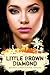 The Little Brown Diamond (None)