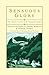 Sensuous Glory