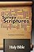 A Survey of the Scriptures