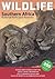 Wildlife Southern Africa