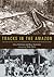Tracks in the Amazon by Gary Neeleman