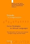 Focus Strategies in African Languages: The Interaction of Focus and Grammar in Niger-Congo and Afro-Asiatic (Trends in Linguistics. Studies and Monographs [TiLSM], 191)