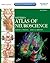Netter's Atlas of Neuroscience