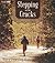 Stepping on the Cracks by Mary Downing Hahn