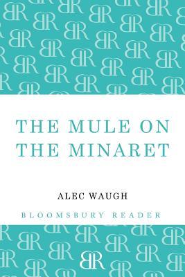 The Mule on the Minaret: A Novel about the Middle East