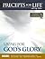 Precepts For Life Study Companion: Living for God's Glory