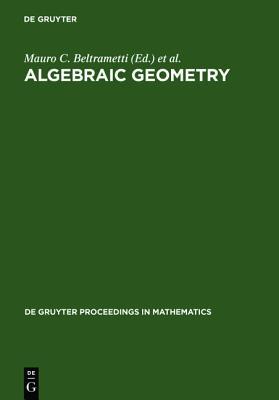 Algebraic Geometry: A Volume in Memory of Paolo Francia (De Gruyter Proceedings in Mathematics)