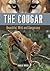 The Cougar: Beautiful, Wild and Dangerous