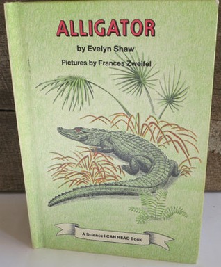 Alligator