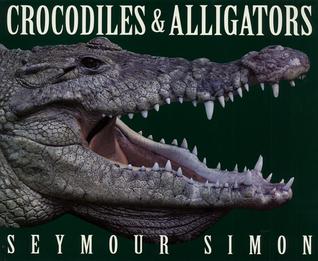 Crocodiles & Alligators (Paperback)