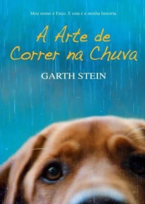 A Arte de Correr na Chuva