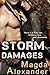 Storm Damages (Storm Damages, #1)